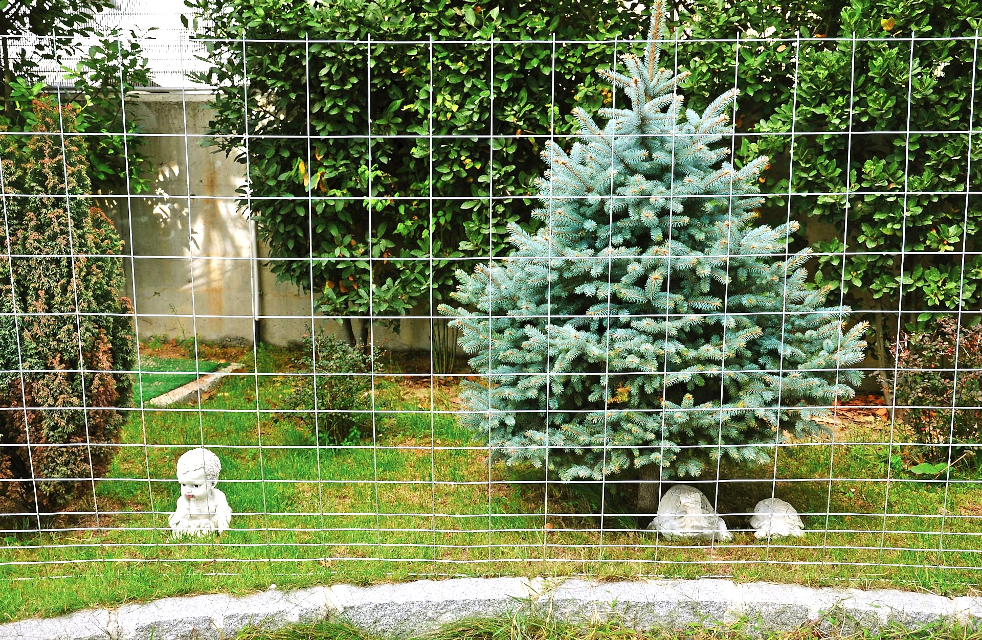 Animal Welded Wire Fences